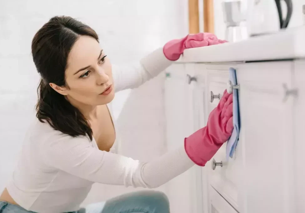 Cabinet-Coatings-Maintaining-Cabinets-1024x683.jpg_2023-05-10-231256_xebm_a8c38b