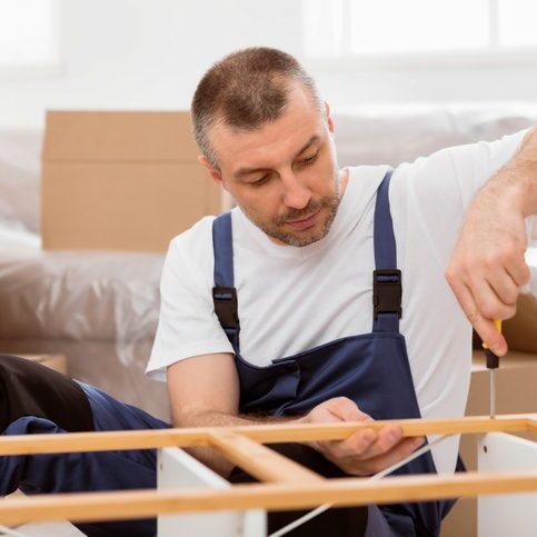 Professional Carpenter Fixing Wooden Shelf Assembling Furniture In Flat Professional Carpenter Fixing Wooden Shelf With Screwdriver Assembling Furniture During Renovation In Flat Indoor. Carpentry Concept